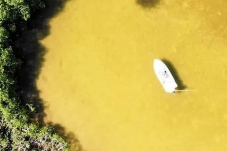 a close up of a person