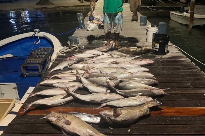 a man doing a trick on a grill