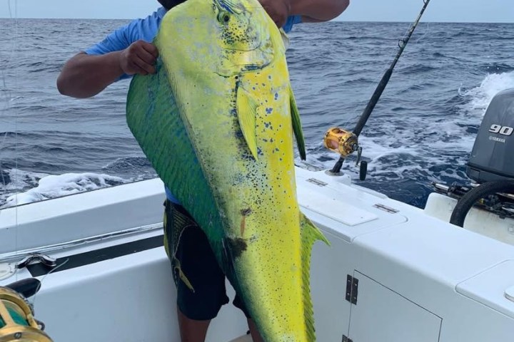 a man holding a fish on a boat in the water