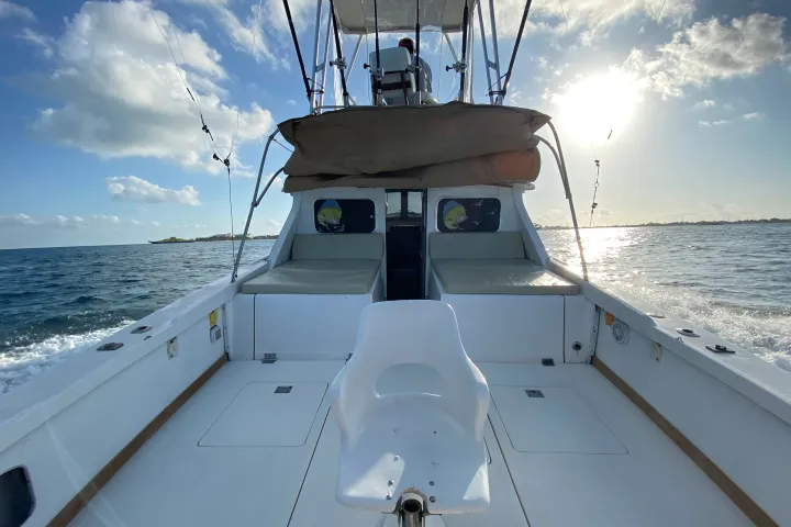 a ship in a body of water