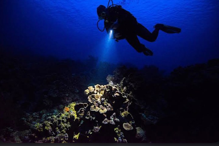 a person swimming in the water